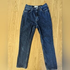 Everlane Original Cheeky Jean Size 27 Cropped